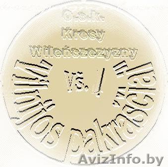 Экскурсии по Литве, гиды - Изображение #1, Объявление #172062