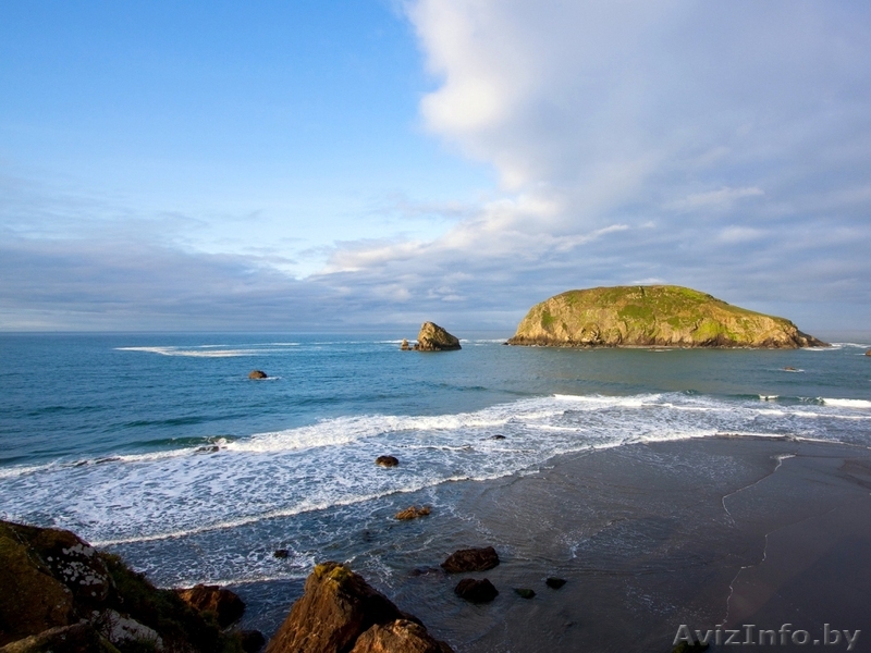 работа в рекламной коммерческой организации - Изображение #1, Объявление #529298