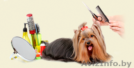 Стрижка собак и кошек - Изображение #1, Объявление #1515728