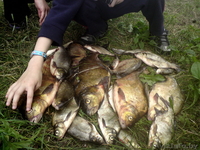 Сдам домик на озере с баней(200 км.от Минска) - Изображение #5, Объявление #117222