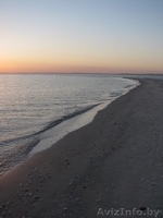 Отдых на Море "Кинбурнская коса" - Изображение #10, Объявление #229983