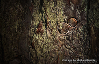 свадебная фотосъёмка полоцк - Изображение #5, Объявление #454624