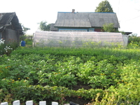 дом в Беларусии - Изображение #4, Объявление #573342