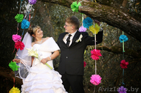 Свадебные фотографы Полоцка, Новополоцка - Изображение #2, Объявление #624661