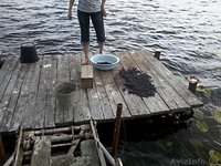 продам дачу в витебской обл. на берегу озера - Изображение #4, Объявление #928589