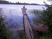 продам дачу в витебской обл. на берегу озера - Изображение #5, Объявление #928589