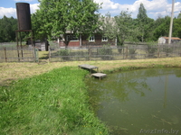 продам дачу в тихом месте - Изображение #1, Объявление #944928