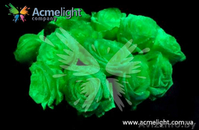 Свой бизнес в г. Полоцк  - Изображение #1, Объявление #1055840