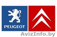 Компьютерная диагностика VW, Audi, Skoda, Seat, Peugeot, Citroen - Изображение #2, Объявление #1164574