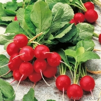 Семена овощей весовые, пакетированные оптом - Изображение #5, Объявление #1346366