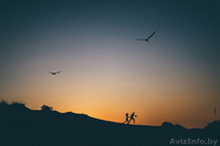 Свадебный фотограф в Полоцке и Новополоцке. Фотограф на свадьбу! - Изображение #3, Объявление #1378650