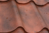 Grand Line Safari - металлочерепица, которая впечатляет! - Изображение #1, Объявление #1427284