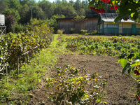 Продается дача. Химик-5.  - Изображение #5, Объявление #1487234