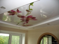 Натяжные потолки по индивидуальным проектам  - Изображение #1, Объявление #1549631