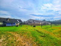 Продам Фермерское хозяйство в витебской области - Изображение #3, Объявление #1751232