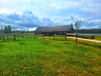 Продам Фермерское хозяйство в витебской области - Изображение #7, Объявление #1751232