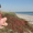 Отдых на Море "Кинбурнская коса" - Изображение #4, Объявление #229983