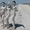 Отдых на Море "Кинбурнская коса" - Изображение #6, Объявление #229983