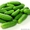 Семена овощей весовые, пакетированные оптом - Изображение #3, Объявление #1346366