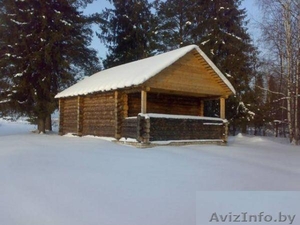 Продаю дом в деревне в костромской области - Изображение #1, Объявление #41383