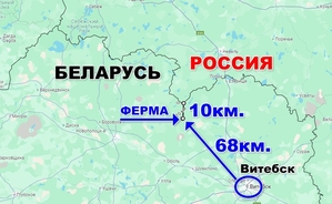 Продам Фермерское хозяйство в витебской области - Изображение #8, Объявление #1751232