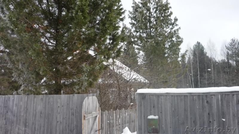 Продается  дом в деревне - Изображение #5, Объявление #51292