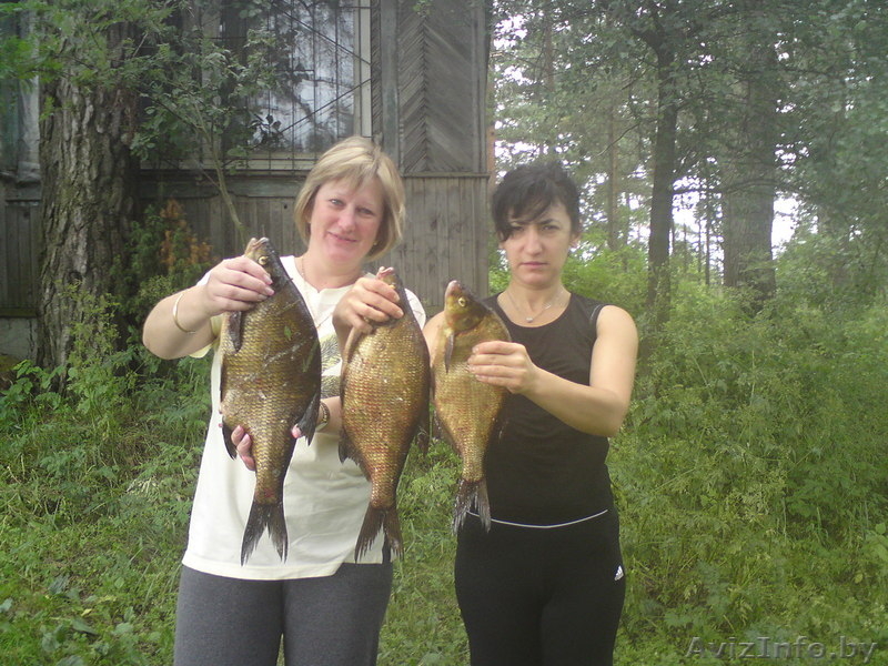 Сдам домик на озере с баней(200 км.от Минска) - Изображение #9, Объявление #117222