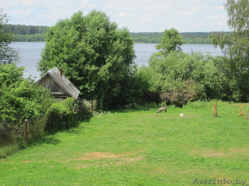  Агроусадьба "Белое озеро"(Отдых на природе) - Изображение #8, Объявление #885429