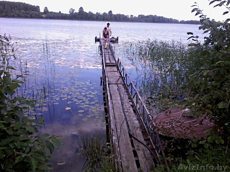 продам дачу в витебской обл. на берегу озера - Изображение #5, Объявление #928589