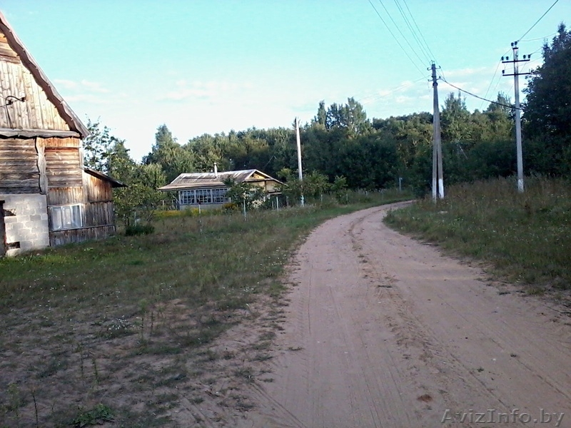 продам дачу в витебской обл. на берегу озера - Изображение #2, Объявление #928589
