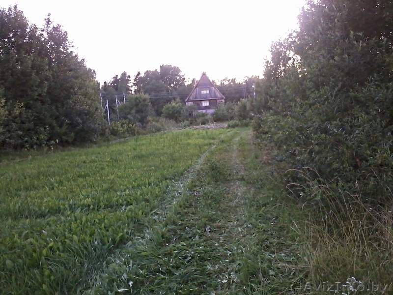 продам дачу в витебской обл. на берегу озера - Изображение #3, Объявление #928589