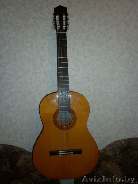 Акустическая шестиструнная гитара - Изображение #1, Объявление #999190
