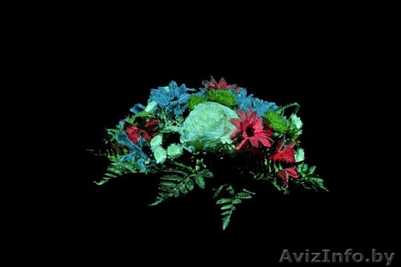 Каталог франшиз   - Изображение #1, Объявление #1074099