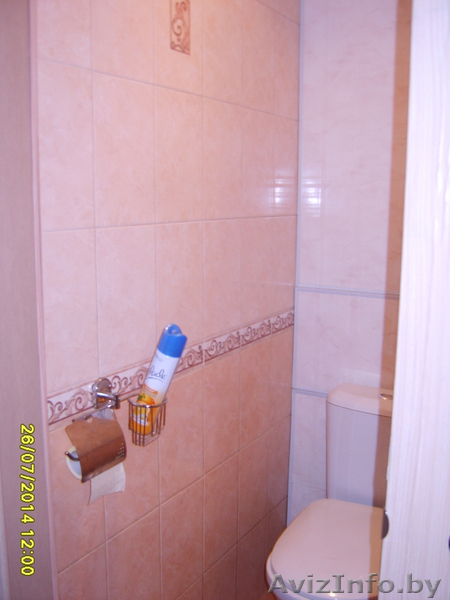 Обмен или продажа 3-х комн.квартиры+дача в Полоцке на 2-х комн.кв. в Минске - Изображение #3, Объявление #1124478