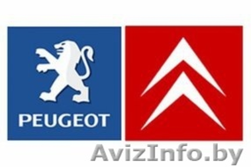 Компьютерная диагностика VW, Audi, Skoda, Seat, Peugeot, Citroen - Изображение #2, Объявление #1164574