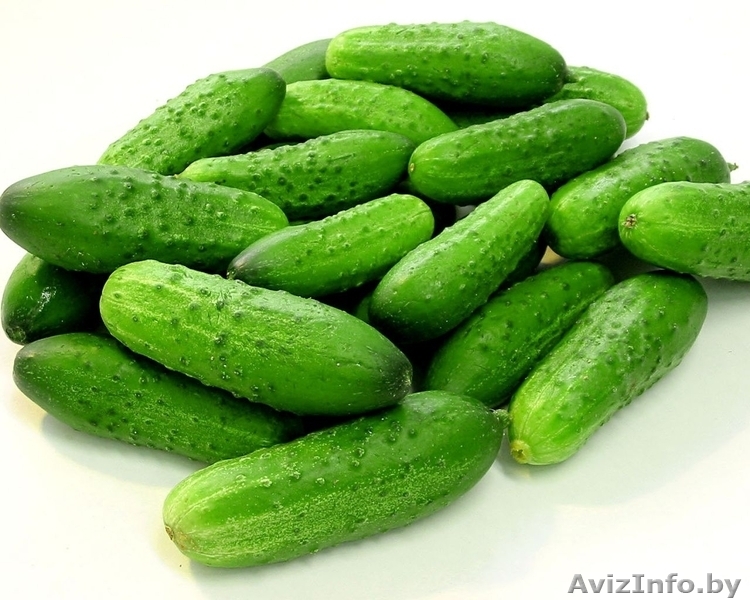 Семена овощей весовые, пакетированные оптом - Изображение #3, Объявление #1346366