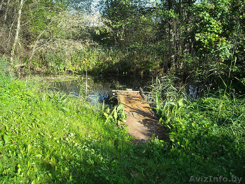 Продается дача. Химик-5.  - Изображение #1, Объявление #1487234