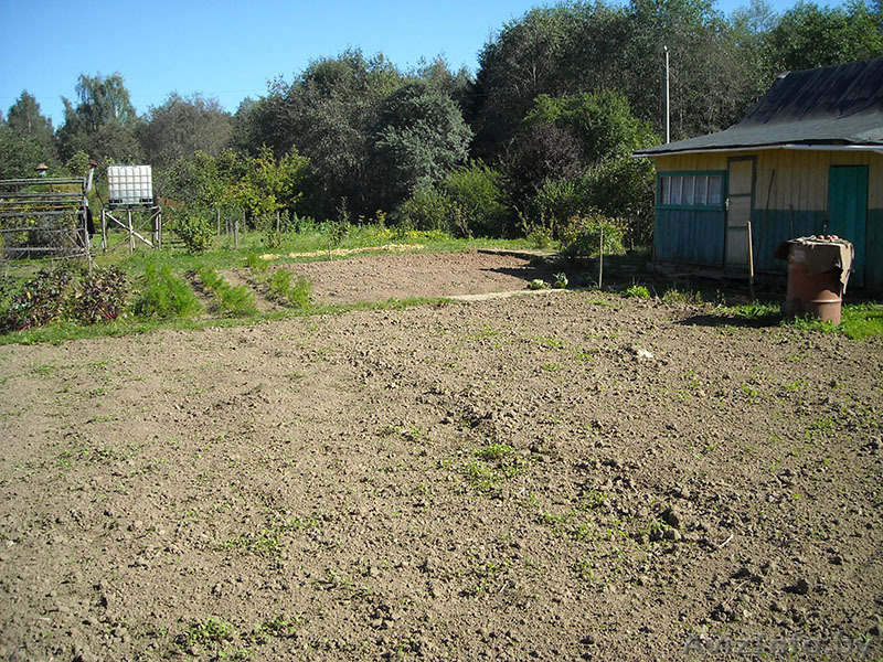 Продается дача. Химик-5.  - Изображение #6, Объявление #1487234