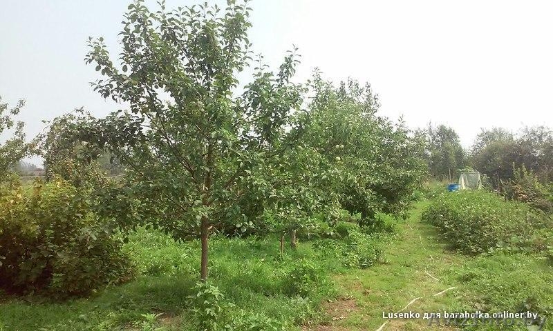 Продам дом Полоцк - Изображение #3, Объявление #1533417