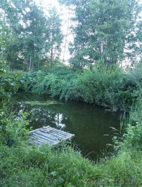 Коттедж в тихом чистом месте - Изображение #9, Объявление #1558361