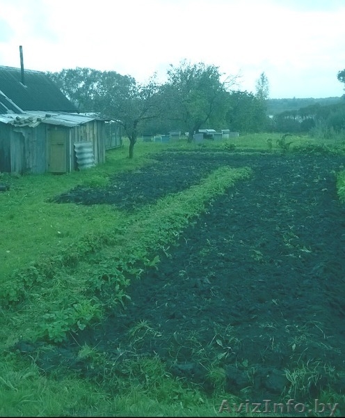 Жилой деревянный дом в Ушачском районе - Изображение #1, Объявление #1563307