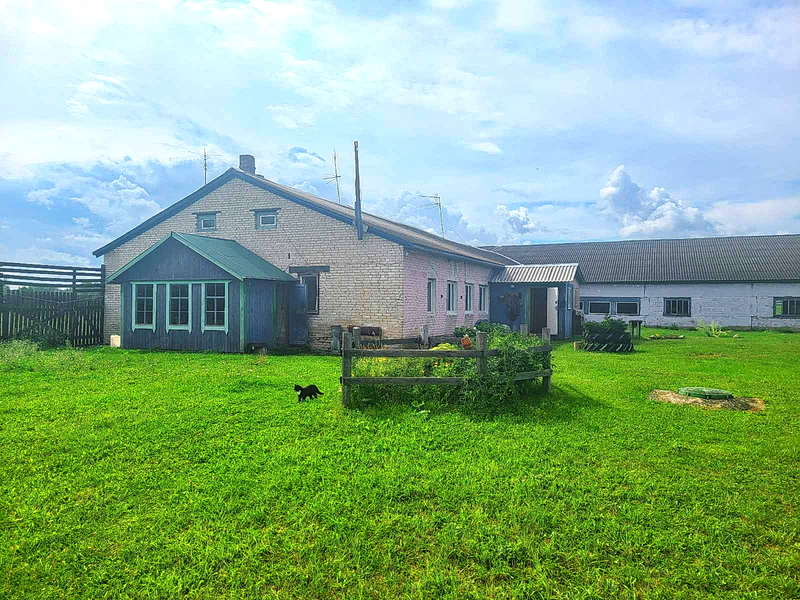 Продам Фермерское хозяйство в витебской области - Изображение #1, Объявление #1751232