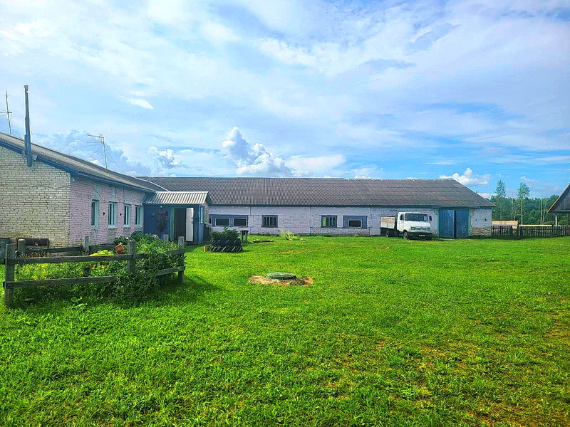 Продам Фермерское хозяйство в витебской области - Изображение #2, Объявление #1751232