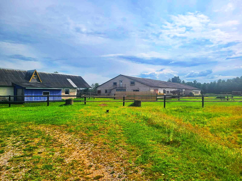 Продам Фермерское хозяйство в витебской области - Изображение #3, Объявление #1751232