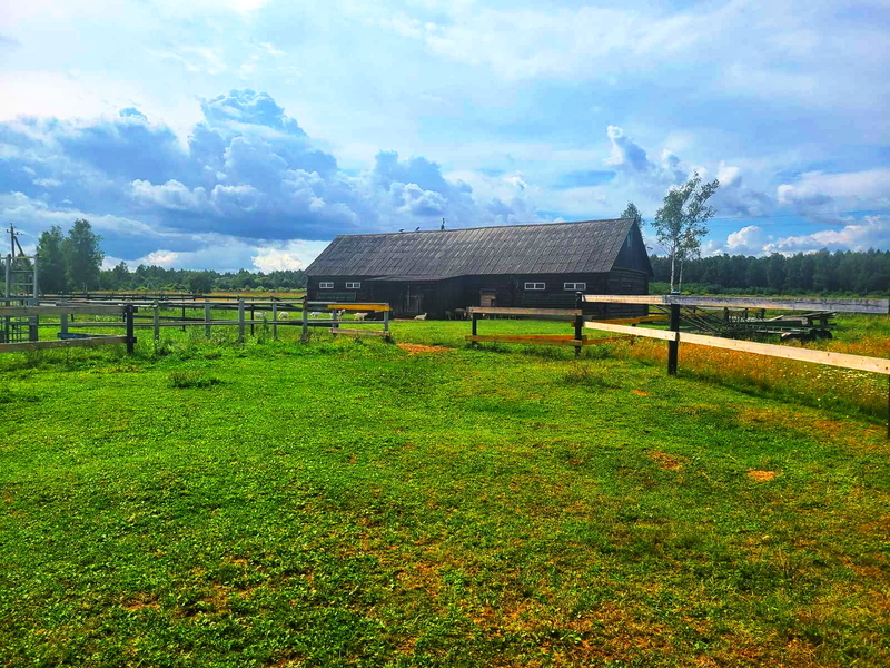 Продам Фермерское хозяйство в витебской области - Изображение #7, Объявление #1751232